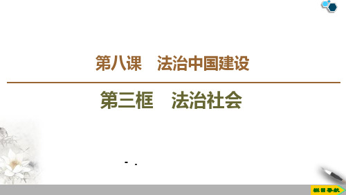 《法治社会》PPT教学课件