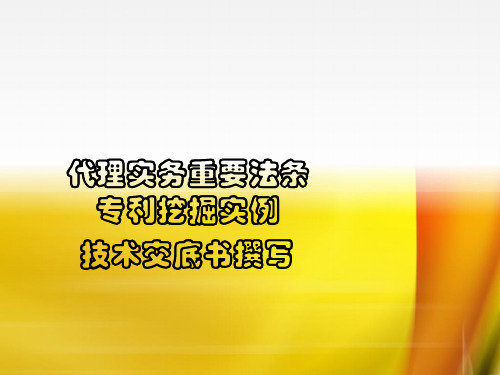 专利代理实务法条及专利挖掘实例