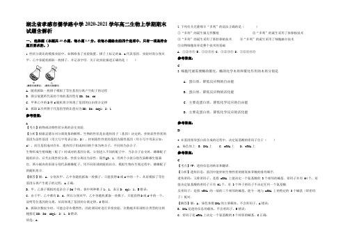 湖北省孝感市儒学路中学2020-2021学年高二生物上学期期末试题含解析