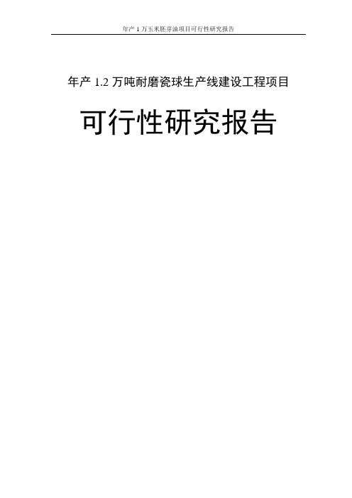 年产1.2万吨耐磨瓷球生产线建设工程项目策划建议书