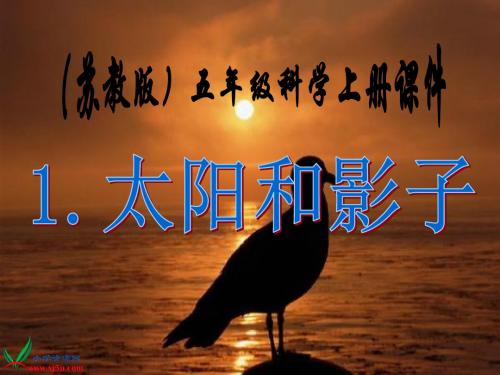 苏教版小学科学五年级上册《太阳和影子》PPT课件之一 (2)