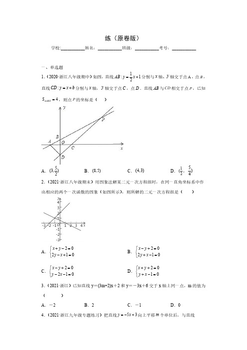 专题04数形思想课之一次函数与二元一次方程(组)综合专练(原卷版)