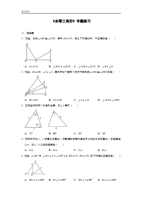 第12章《全等三角形》人教版数学八年级上册专题练习(含答案)