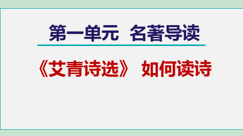 初中九年级语文名著导读