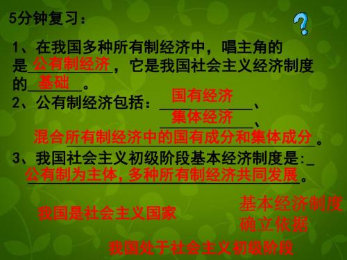 人教版 九年级 政治 课件第七课 第二框《走向共同富裕的道路》(共30张PPT )(共30张PPT)