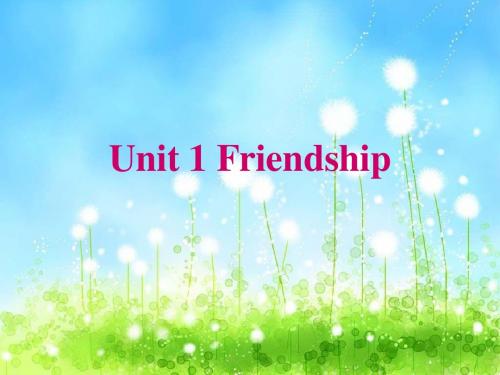 (新人教版必修1)英语Unit1《Friendship》