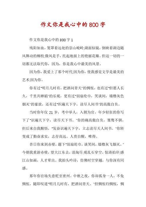 作文你是我心中的800字