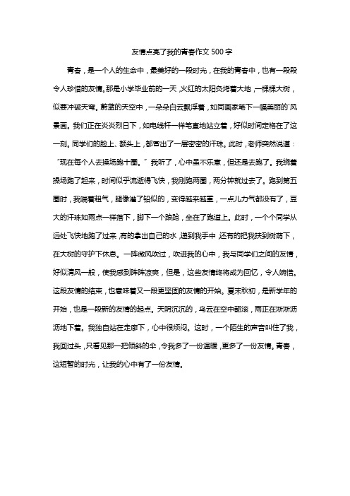 友情点亮了我的青春作文500字