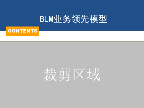 华为战略规划与执行的核心管理工具BLM模型