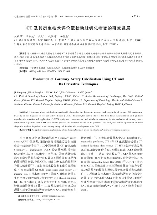 CT及其衍生技术评价冠状动脉钙化病变的研究进展