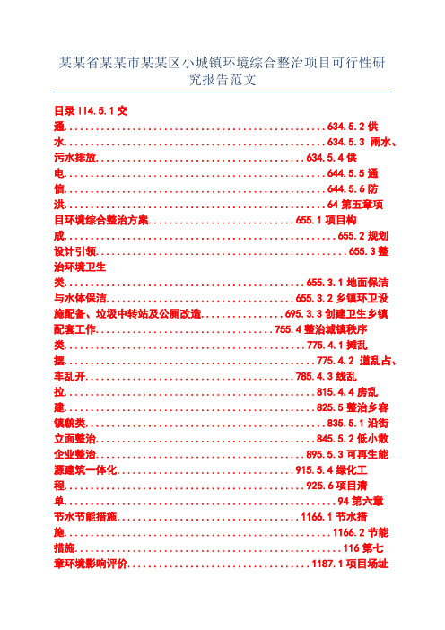 某某省某某市某某区小城镇环境综合整治项目可行性研究报告范文