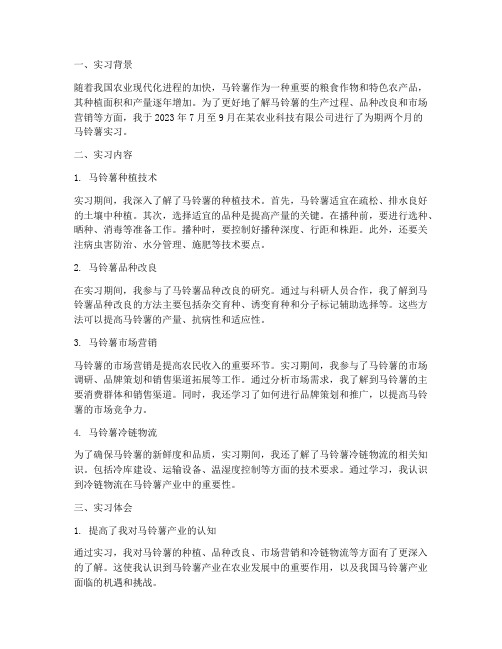 马铃薯实习报告