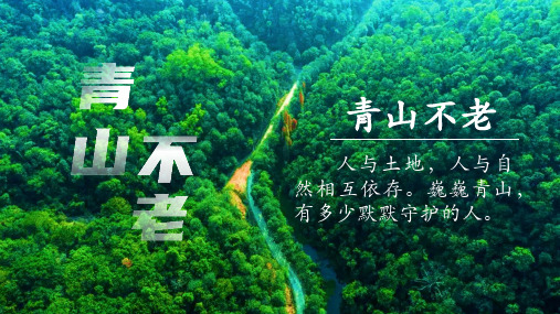 青山不老课件(共19张PPT)