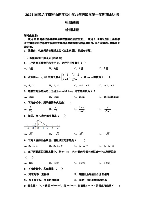 2025届黑龙江省密山市实验中学八年级数学第一学期期末达标检测试题含解析