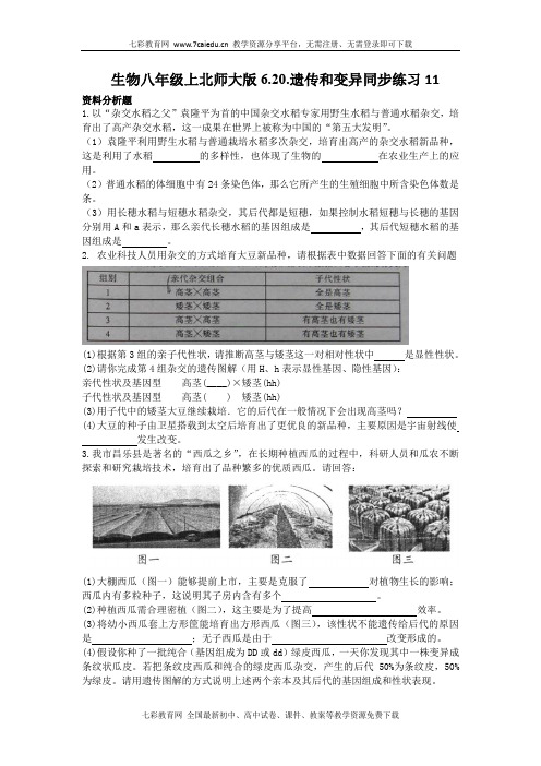 生物八年级上北师大版6.20遗传和变异同步练习11.