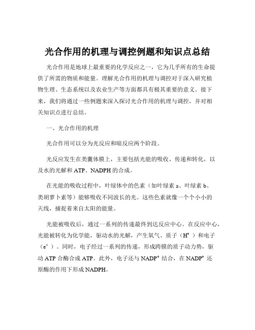 光合作用的机理与调控例题和知识点总结