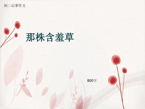 初二记事作文《那株含羞草》800字(总10页PPT)