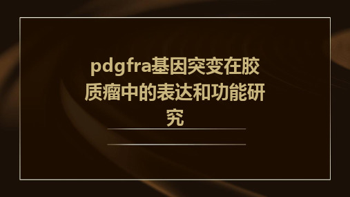 PDGFRA基因突变在胶质瘤中的表达和功能研究