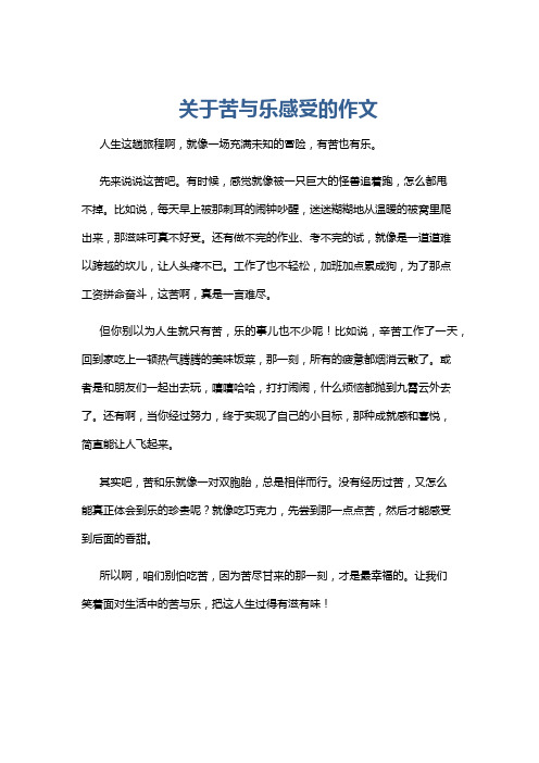 关于苦与乐感受的作文