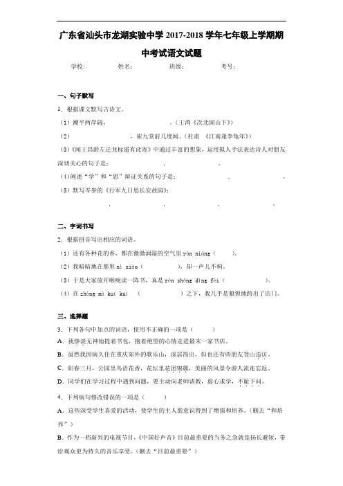 广东省汕头市龙湖实验中学2020~2021学年七年级上学期期中考试语文试题