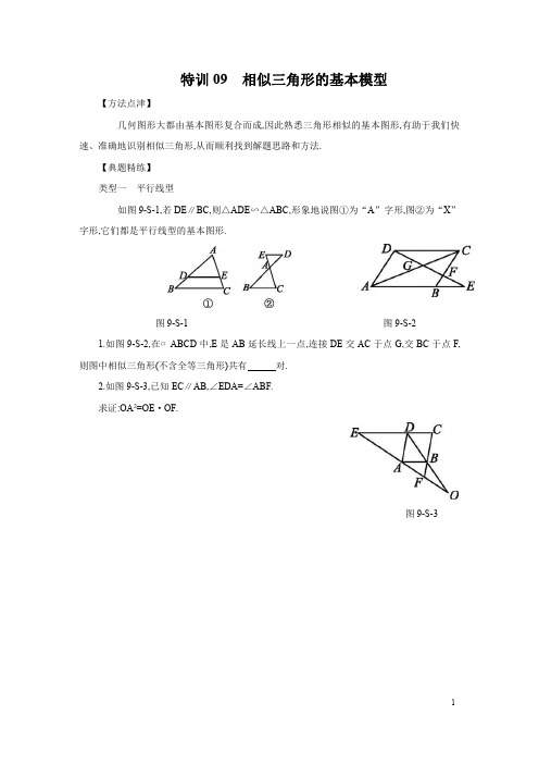 特训09 相似三角形的基本模型-2021-2022学年九年级数学上学期重难题型思维特训(北师大版)