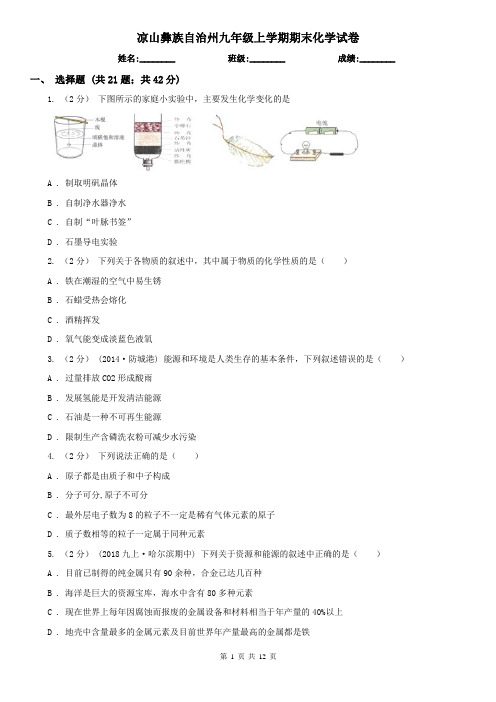 凉山彝族自治州九年级上学期期末化学试卷