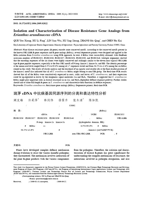 斑茅cDNA中抗病基因同源序列的分离和表达特性分析