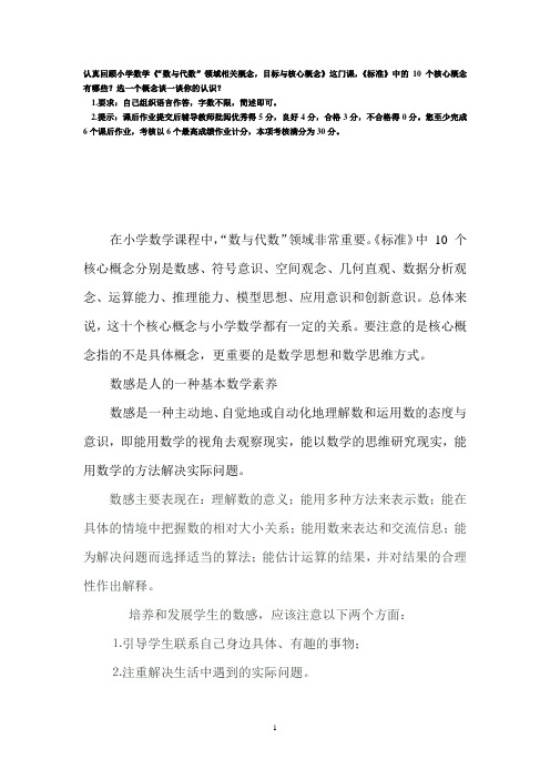 认真回顾小学数学《“数与代数”概念目标核心》,《标准》中的10个核心概念有哪些？选一个概念谈认识？