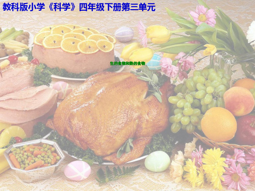 四年级下册科学课件-3.4生的食物和熟的食物｜教科版(共16张PPT)2