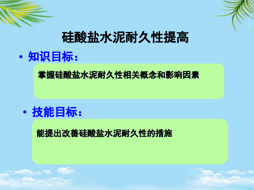 【优文档】演示文稿硅酸盐水泥耐久性提高PPT