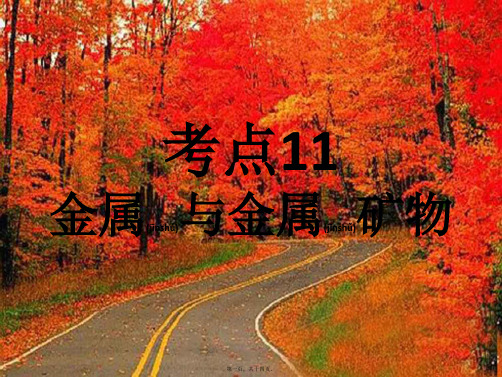 中考化学复习 考点11:金属与金属矿物(1)课件