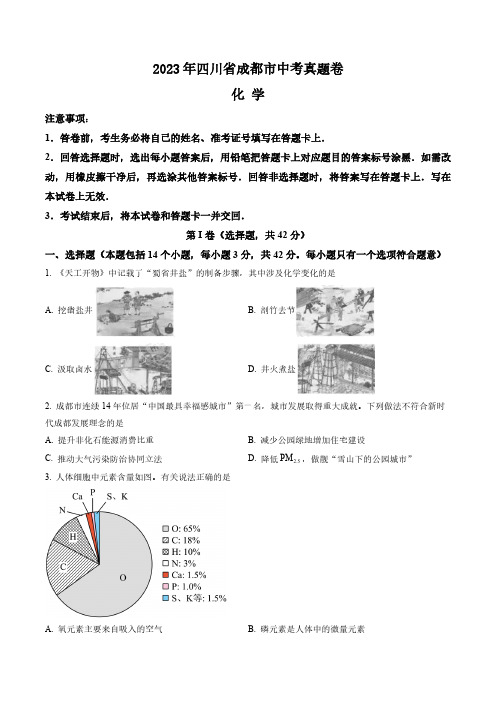 2023年四川省成都市中考化学真题卷(含答案与解析)