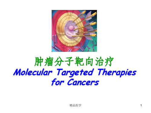 《靶向治疗》PPT课件