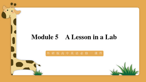 外研版高中英语必修一课件Module 5 A Lesson in a Lab PPT模板