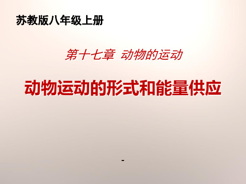 17.1动物运动的形式和能量供应(共31张PPT)