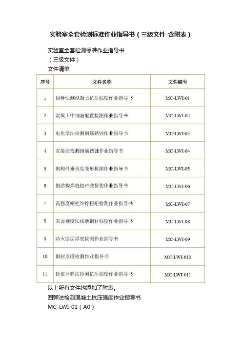 实验室全套检测标准作业指导书（三级文件-含附表）