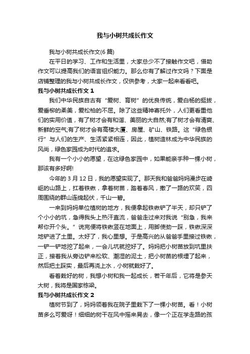 我与小树共成长作文