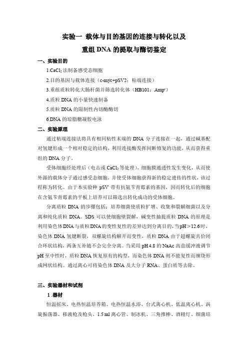 载体与目的基因的连接与转化以及重组DNA的提取与酶切鉴定