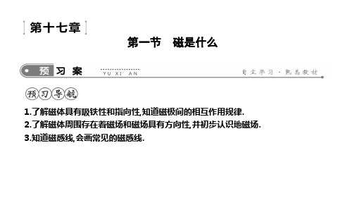 2019年沪科版九年级物理全册课件：17.1 磁是什么(共19张PPT)