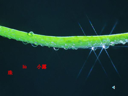 苏教版三年级上册语文《小露珠》公开课课件PPT