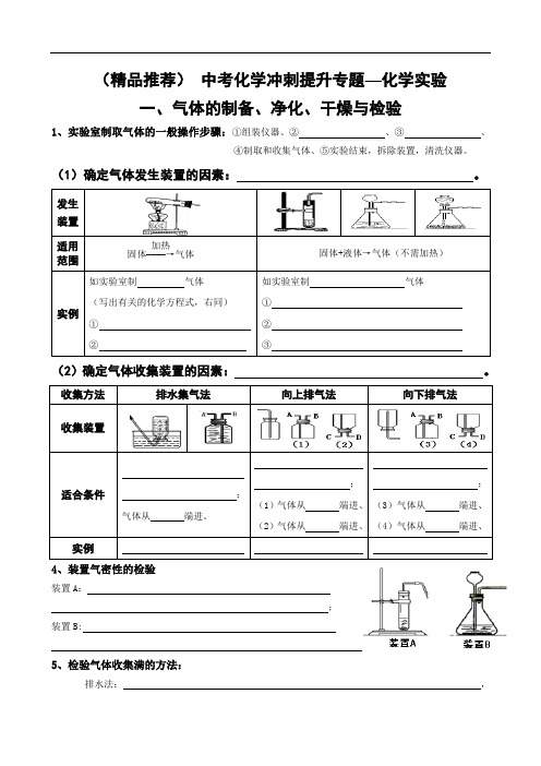 (精品推荐) 中考 化学 冲刺提升专题 化学实验