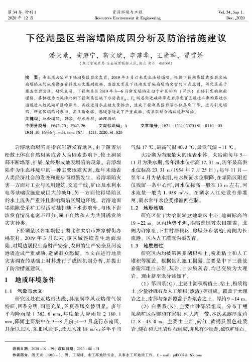 下径湖垦区岩溶塌陷成因分析及防治措施建议