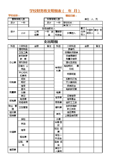 财务收支明细表格