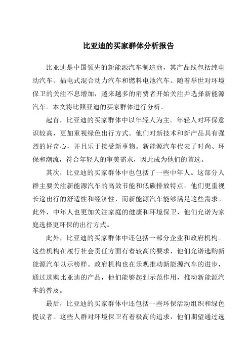 比亚迪的买家群体分析报告