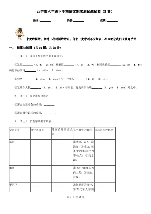 西宁市六年级下学期语文期末测试题试卷(B卷)