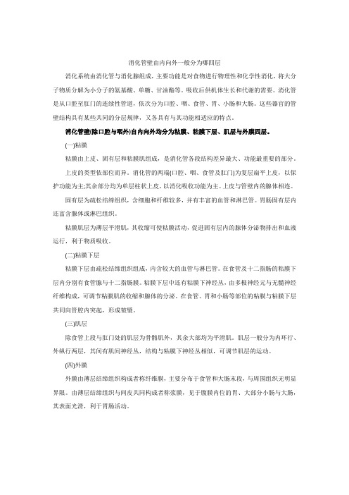 消化管壁由内向外一般分为哪四层