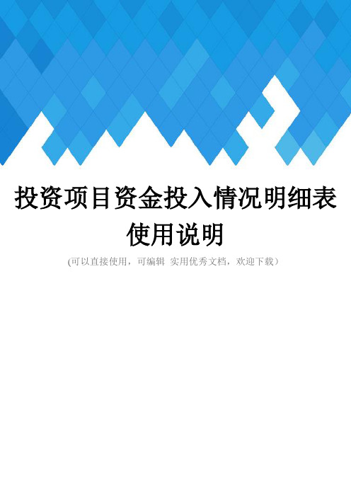 投资项目资金投入情况明细表使用说明完整