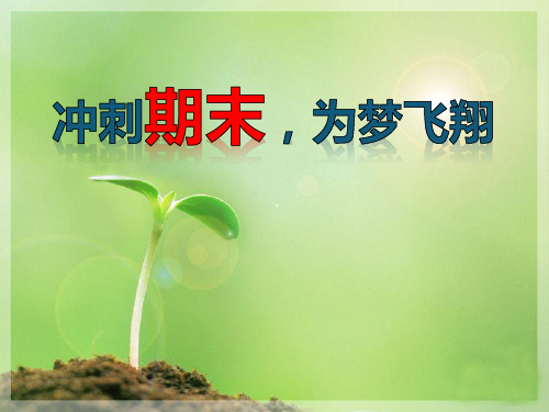 《冲刺期末,为梦飞翔》PPT