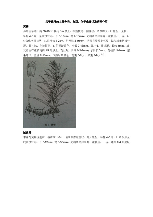 关于黄精的主要分类,鉴别,化学成分以及药理作用