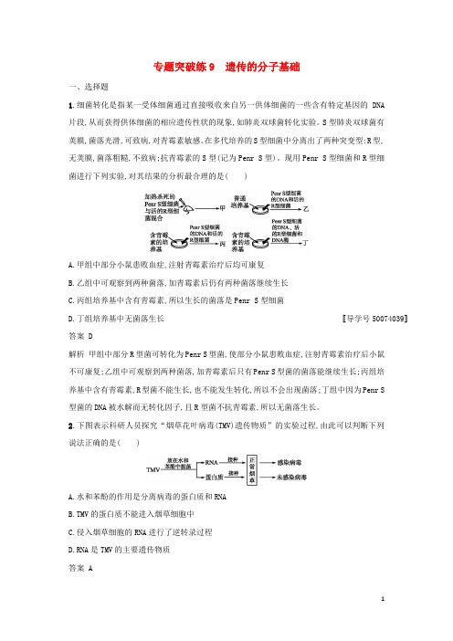 高考生物二轮复习 专题突破训练9 遗传的分子基础